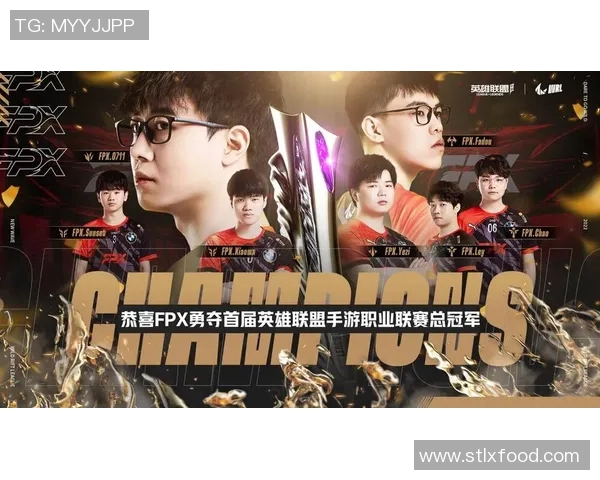 职业联赛深度解析：FPX战队如何成功实现转型与重生