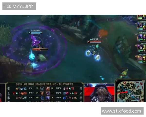 赛后复盘:深入分析WE与V5对决中的战术与技术细节