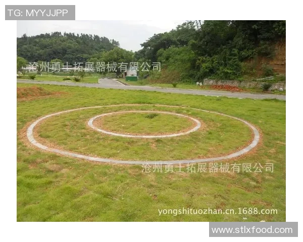 重庆极限运动队的战术控制体系与极限运动的完美结合探讨